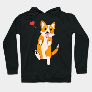 Happy Corgi dog Hoodie